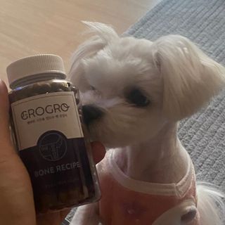 펫21 그로그로 5종 강아지 고양이 반려동물 한방 영양제 — 5점을 준 리뷰어가 2021년 11월 올린 사용 사진