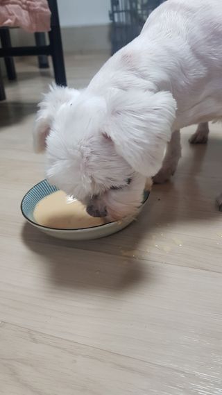 chloe님이 올린 리뷰 사진 3