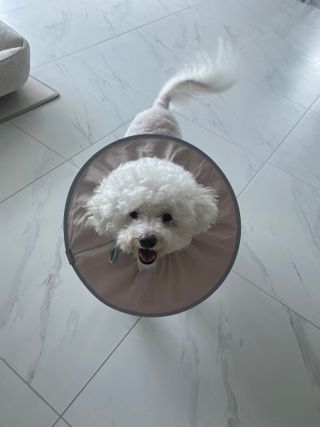 갱스님이 올린 리뷰 사진 1