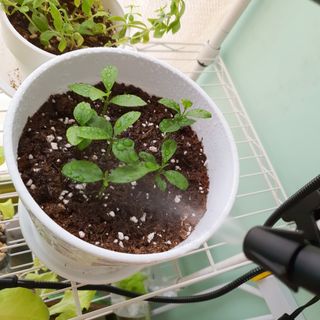 재유JaeYou님이 올린 리뷰 사진 4