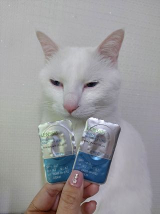 귤양님이 올린 리뷰 사진 2