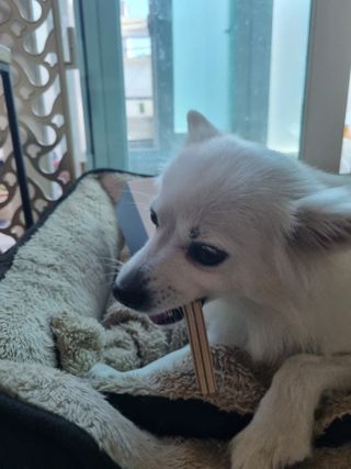 냠냠박사님이 올린 리뷰 사진 4