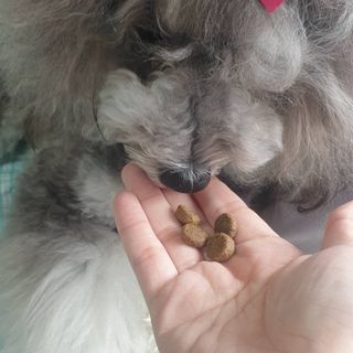 BlossomY님이 올린 리뷰 사진 3