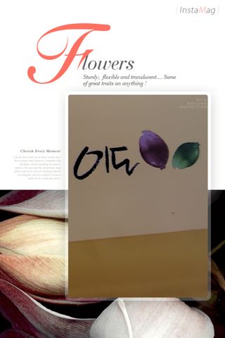통통이님이 올린 리뷰 사진 1