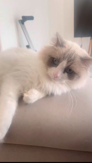 러블리님이 올린 리뷰 사진 4