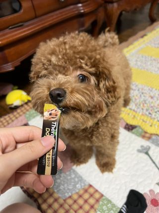 햄슨님이 올린 리뷰 사진 2