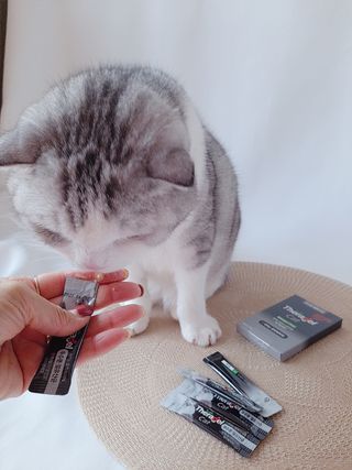 라니으니님이 올린 리뷰 사진 1