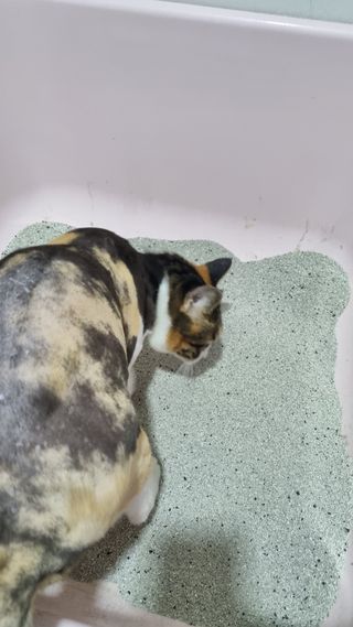 열일합시다님이 올린 리뷰 사진 3