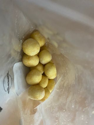 Dog&Ball 독앤볼 [Dog&Ball] 미니찹쌀볼도그 찹쌀치즈볼 — 5점을 준 리뷰어가 2021년 10월 올린 사용 사진