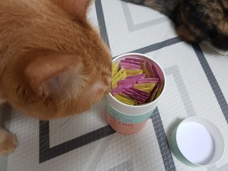 페페로니 잘 먹는 캣츄 - 무항생제 닭고기 12개 + 알래스카 연어 12개 — 5점을 준 리뷰어가 2021년 7월 올린 사용 사진