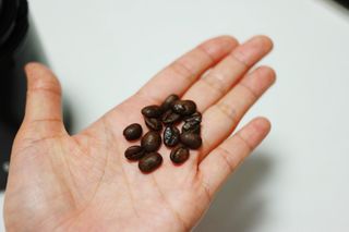 이쁜코알라님이 올린 리뷰 사진 3