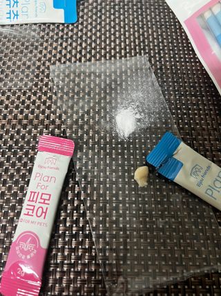 비쥬프렌즈 플랜 츄츄&건강 코어(장/관절/피모 분말) — 5점을 준 리뷰어가 2022년 10월 올린 사용 사진