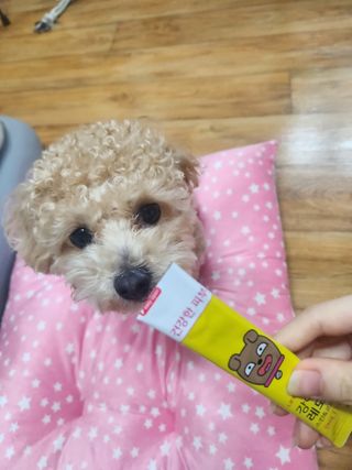 파비올라님이 올린 리뷰 사진 2
