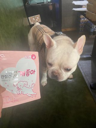 My Pet Care 천연단백질 관절건강에 개좋아 — 4.5점을 준 리뷰어가 2021년 1월 올린 사용 사진