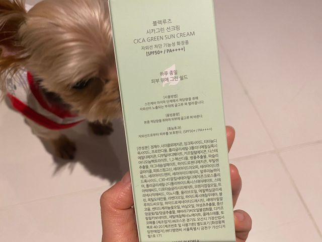 [블랙루즈] 시카그린 선크림 리뷰 사진