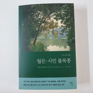 김도영님이 올린 리뷰 사진 4