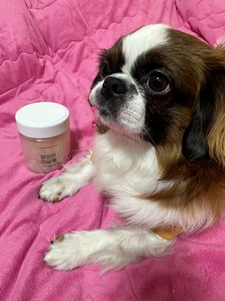 여진님이 올린 리뷰 사진 1