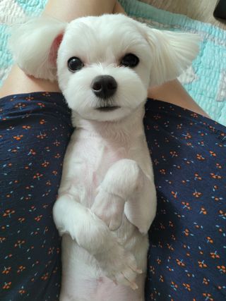민앤후마미님이 올린 리뷰 사진 4
