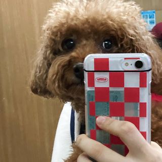 블루민님이 올린 리뷰 사진 1