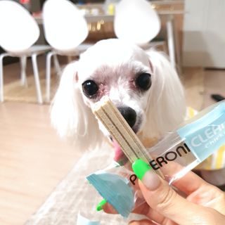 미민님이 올린 리뷰 사진 2