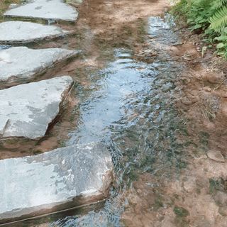 sowon님이 올린 리뷰 사진 2