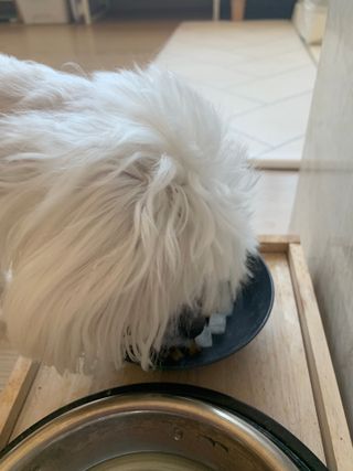 ZiunYang님이 올린 리뷰 사진 1