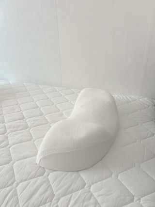 백미냥님이 올린 리뷰 사진 3