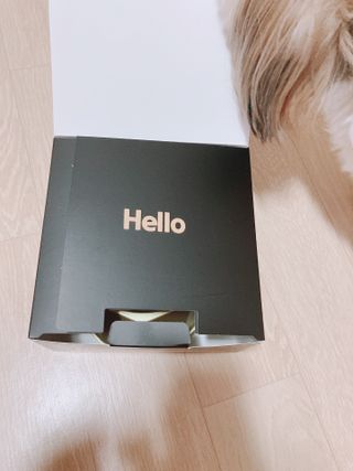 [세싹보울] 세균 싹~ 사라지는 셀앤핏 펫 항균동 애견식기 — 5점을 준 리뷰어가 2021년 6월 올린 사용 사진