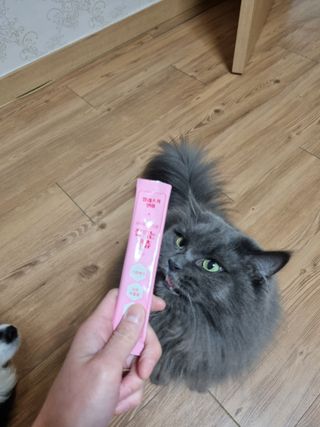 아들애미님이 올린 리뷰 사진 1