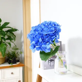 슈붕님이 올린 리뷰 사진 4