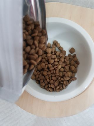 [푸디웜] 라포그 리얼인섹트 소프트키블 스킨 1KG — 5점을 준 리뷰어가 2022년 9월 올린 사용 사진