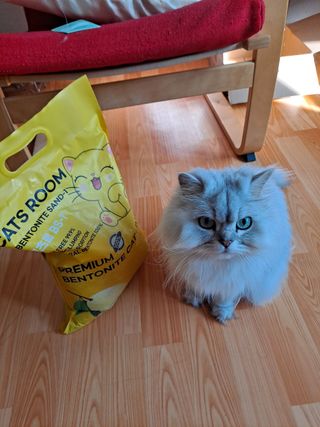 겟플렉스 켓플렉스 캣츠룸BS-1 고양이모래 4kg — 4.5점을 준 리뷰어가 2021년 3월 올린 사용 사진