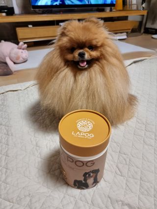 아롱이님이 올린 리뷰 사진 3