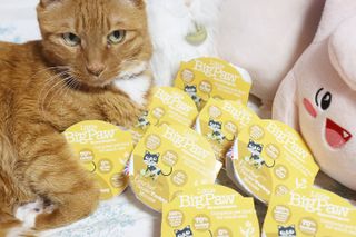 안젤라mj님이 올린 리뷰 사진 2