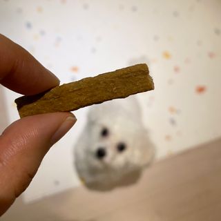 슨슨이님이 올린 리뷰 사진 1