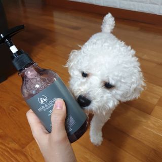 마리앤루이펫샴푸 [mari and louie pet shampoo] — 5점을 준 리뷰어가 2021년 6월 올린 사용 사진