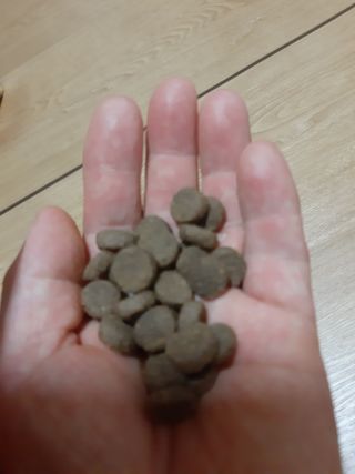 moomoon님이 올린 리뷰 사진 2