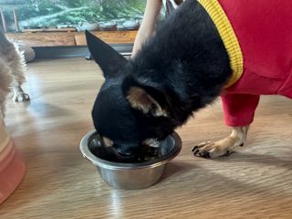 깡지님이 올린 리뷰 사진 1