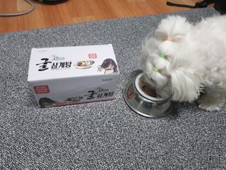 두부님이 올린 리뷰 사진 2