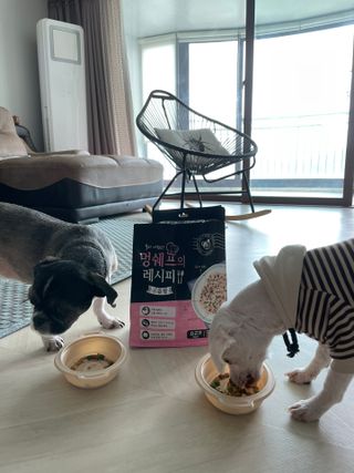 민지1985님이 올린 리뷰 사진 4
