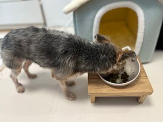 꿀님이 올린 리뷰 사진 4