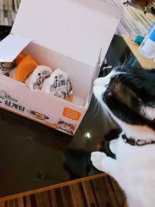 퓨리아님이 올린 리뷰 사진 3