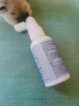 미진냥님이 올린 리뷰 사진 1