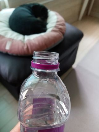 몽베스트 [MONTBEST] 330mL 20병 — 5점을 준 리뷰어가 2021년 10월 올린 사용 사진