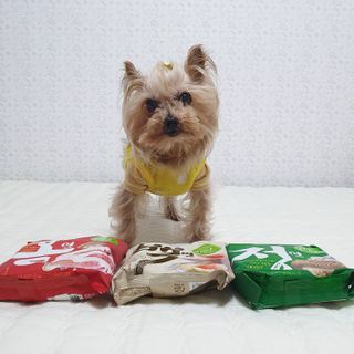 [풀무원] 자연은맛있다 정면, 백면, 홍면  세트 — 5점을 준 리뷰어가 2021년 4월 올린 사용 사진