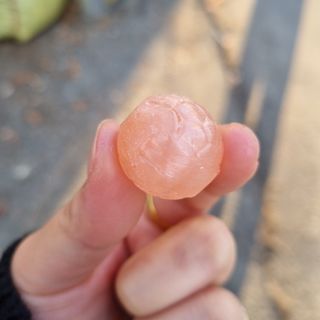 청포도캔디 복숭아캔디 — 5점을 준 리뷰어가 2022년 11월 올린 사용 사진