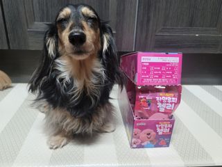 [팔도] 잔망루피젤리 믹스베리맛 42g 8개 — 5점을 준 리뷰어가 2022년 3월 올린 사용 사진