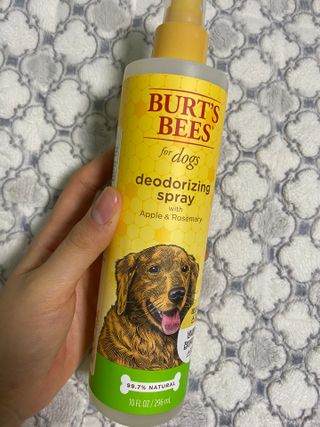 빅참새님이 올린 리뷰 사진 1