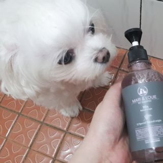 두부님이 올린 리뷰 사진 2