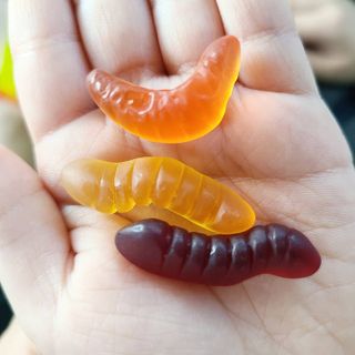 세일러묵님이 올린 리뷰 사진 3